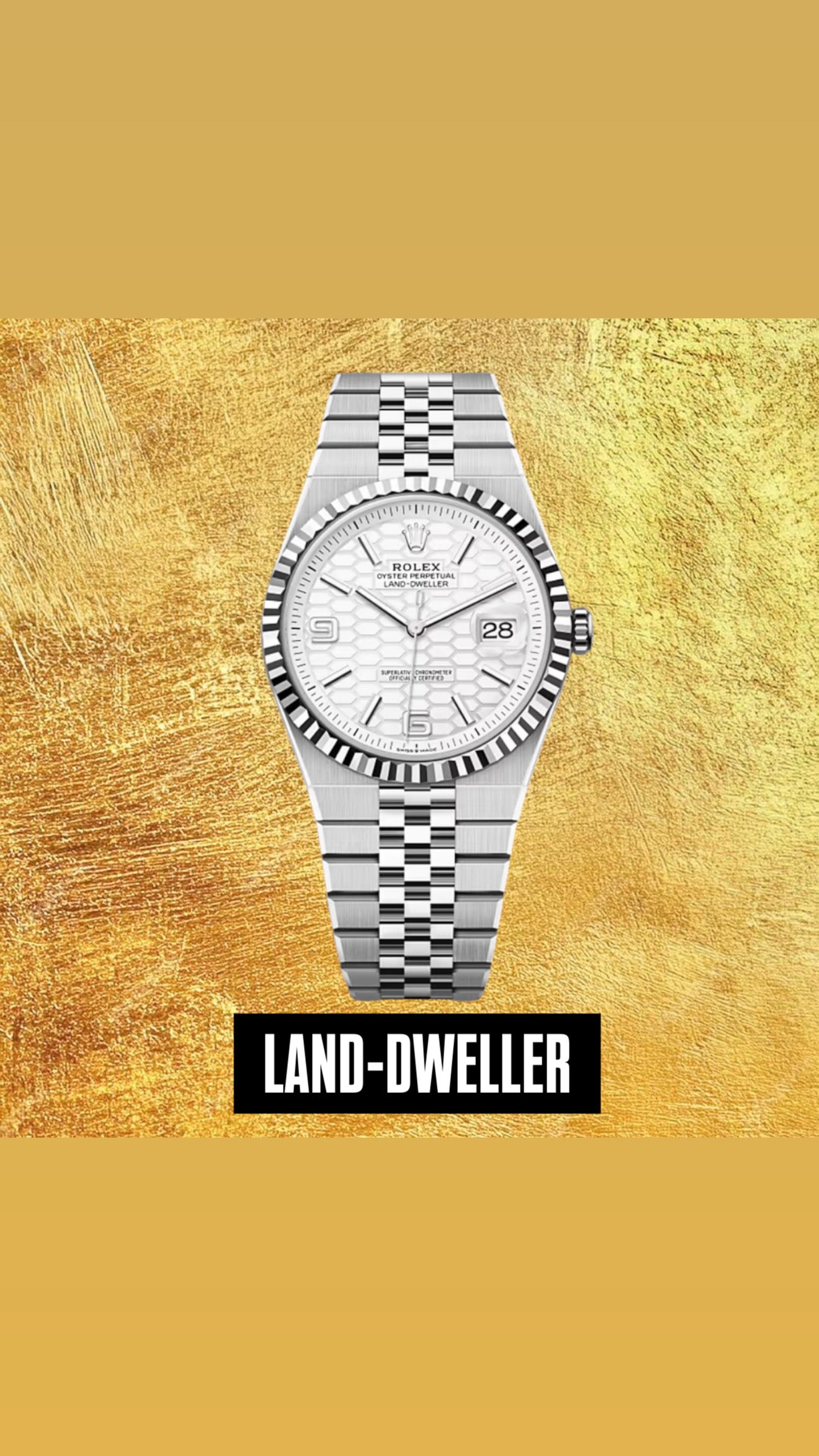 RLX LAND-DWELLER CALIDAD SUPERIOR