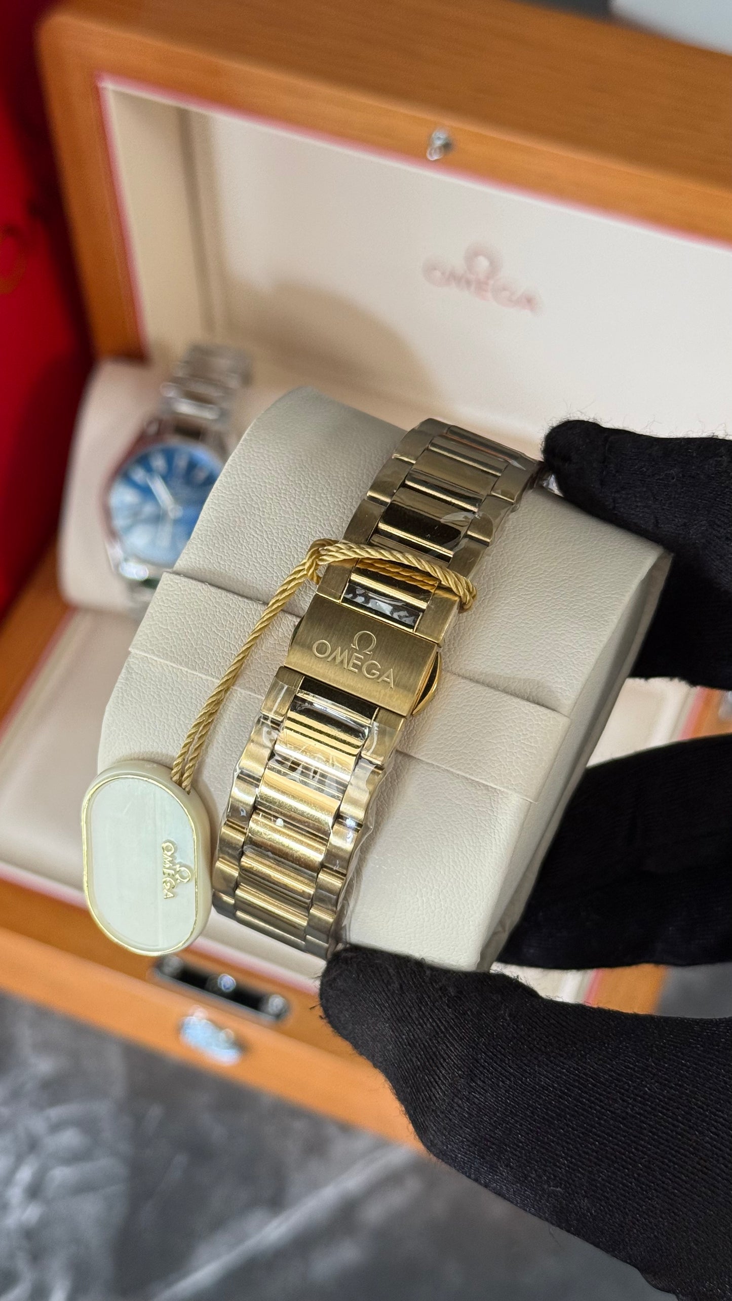 OMG AQUA TERRA (ORO/ NEGRO) 41mm