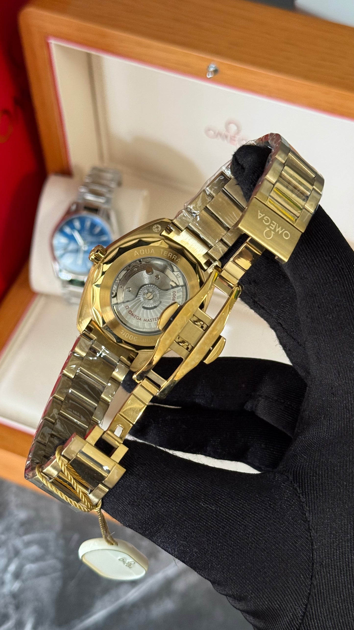 OMG AQUA TERRA (ORO/ NEGRO) 41mm