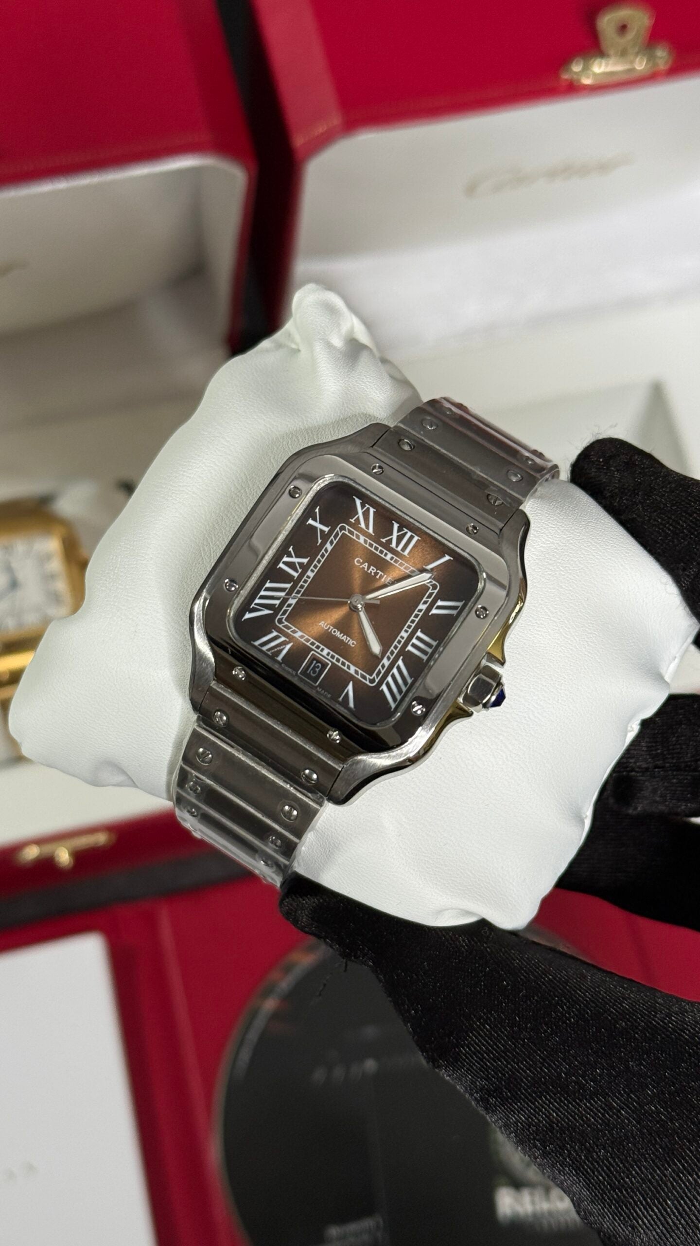 CRT SANTOS (PLATA/MARRÓN)