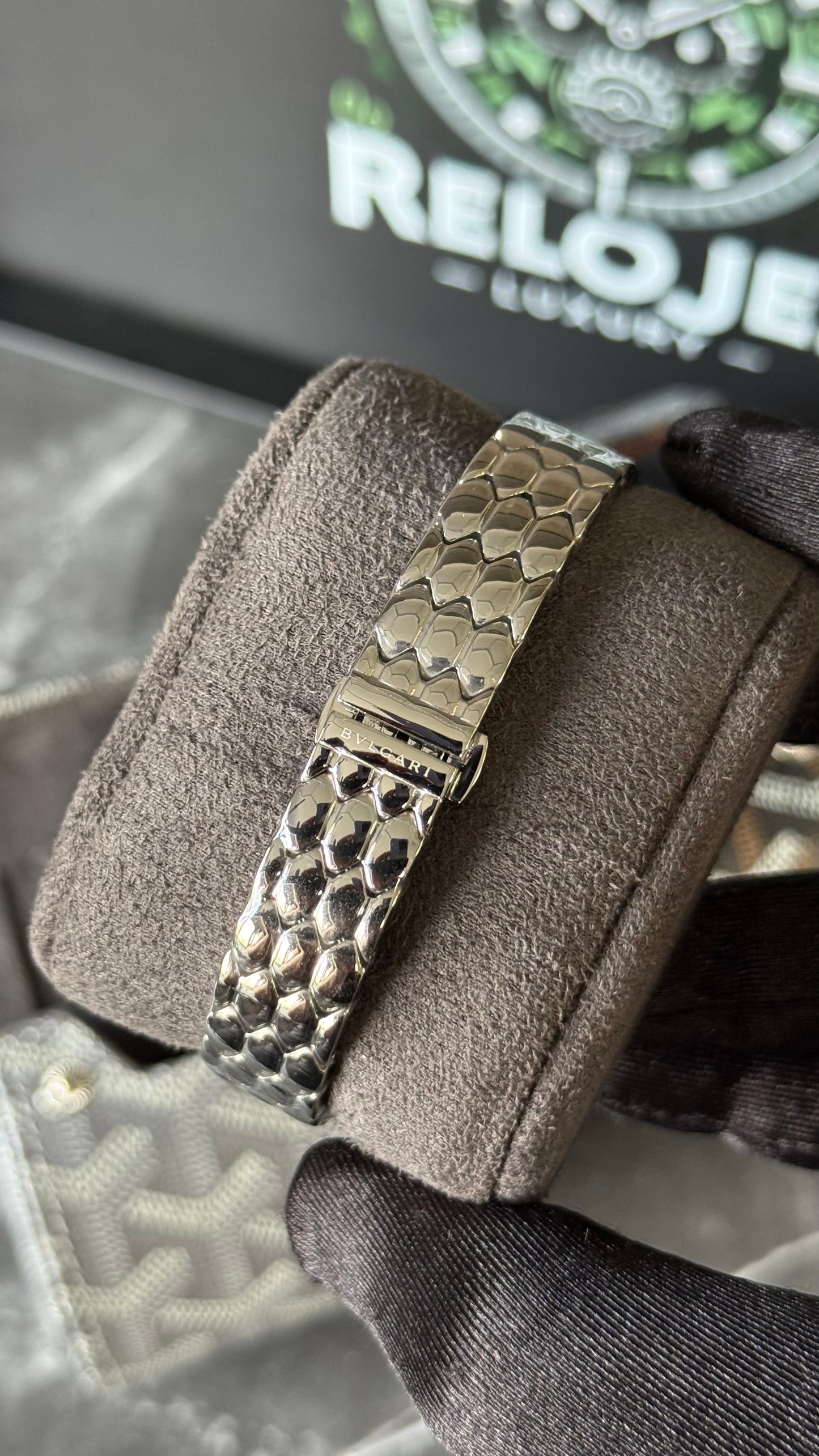BVLG SERPENTI PLATA