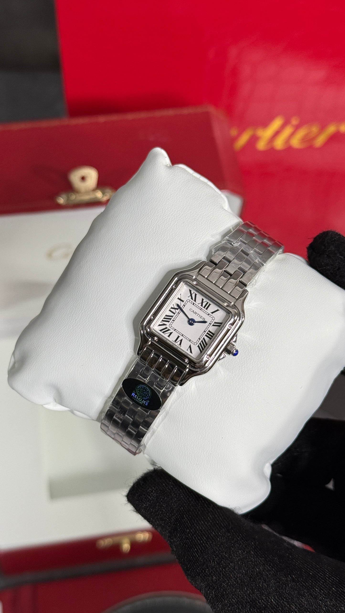 CRT PANTHÈRE (PLATA/BLANCO) 23MM
