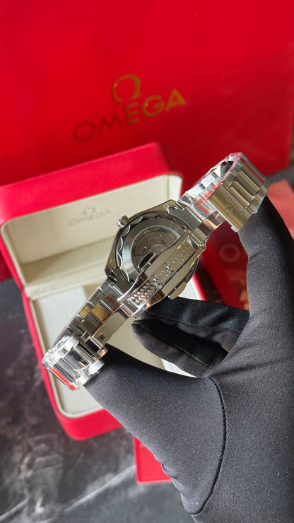 OMG AQUATERRA (FULL PLATA) 41mm