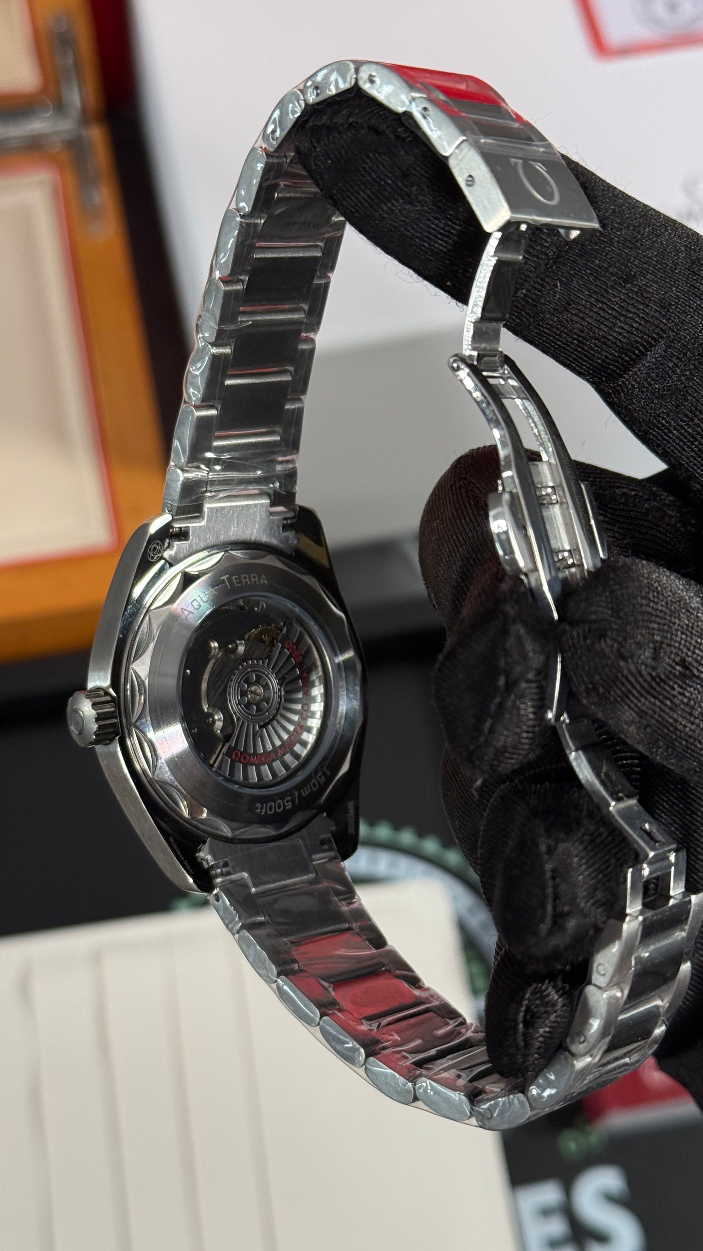 OMG AQUA TERRA (PLATA/BLANCO)