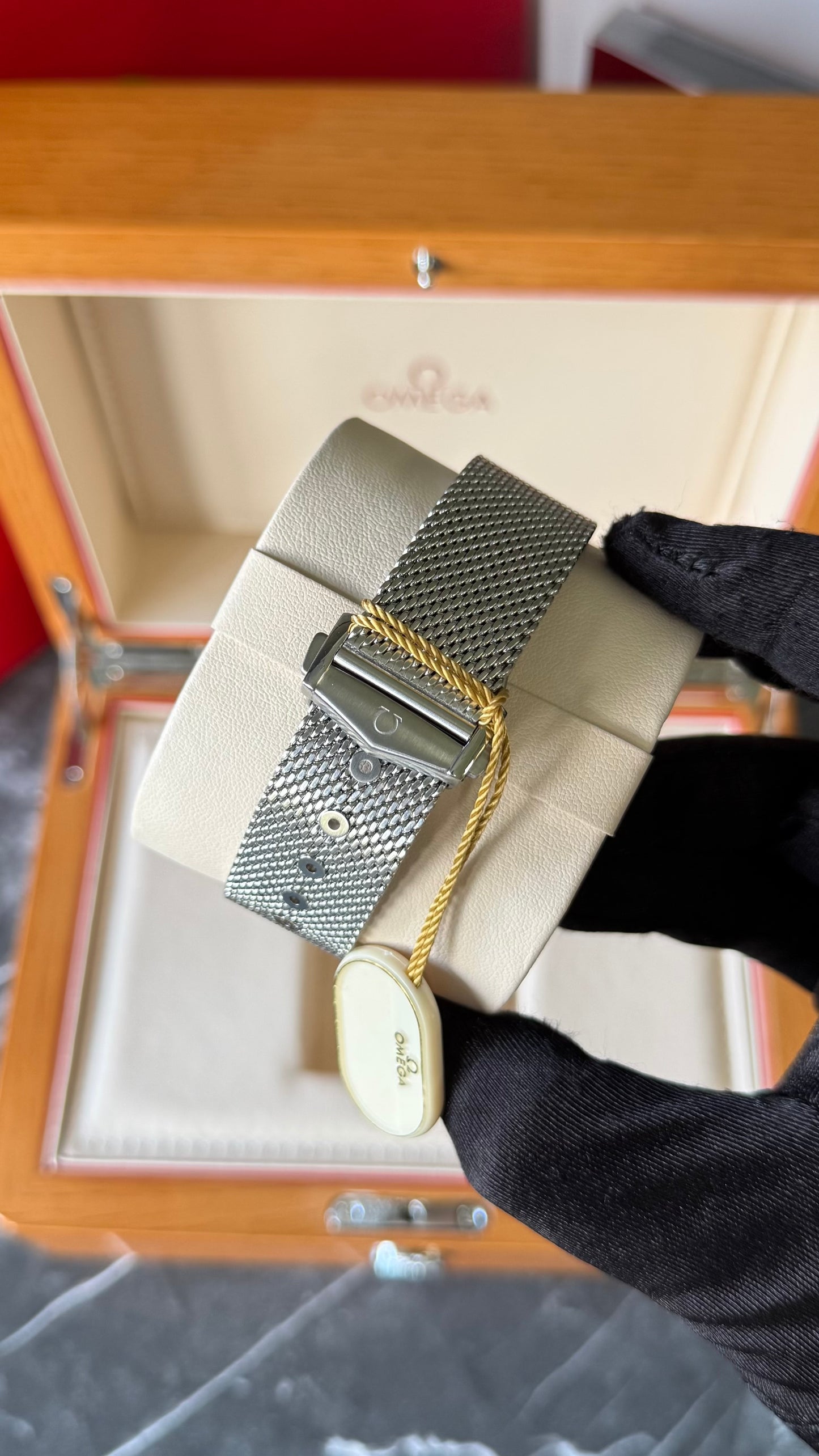 OMG SEAMASTER z2 (FULLPLATA)