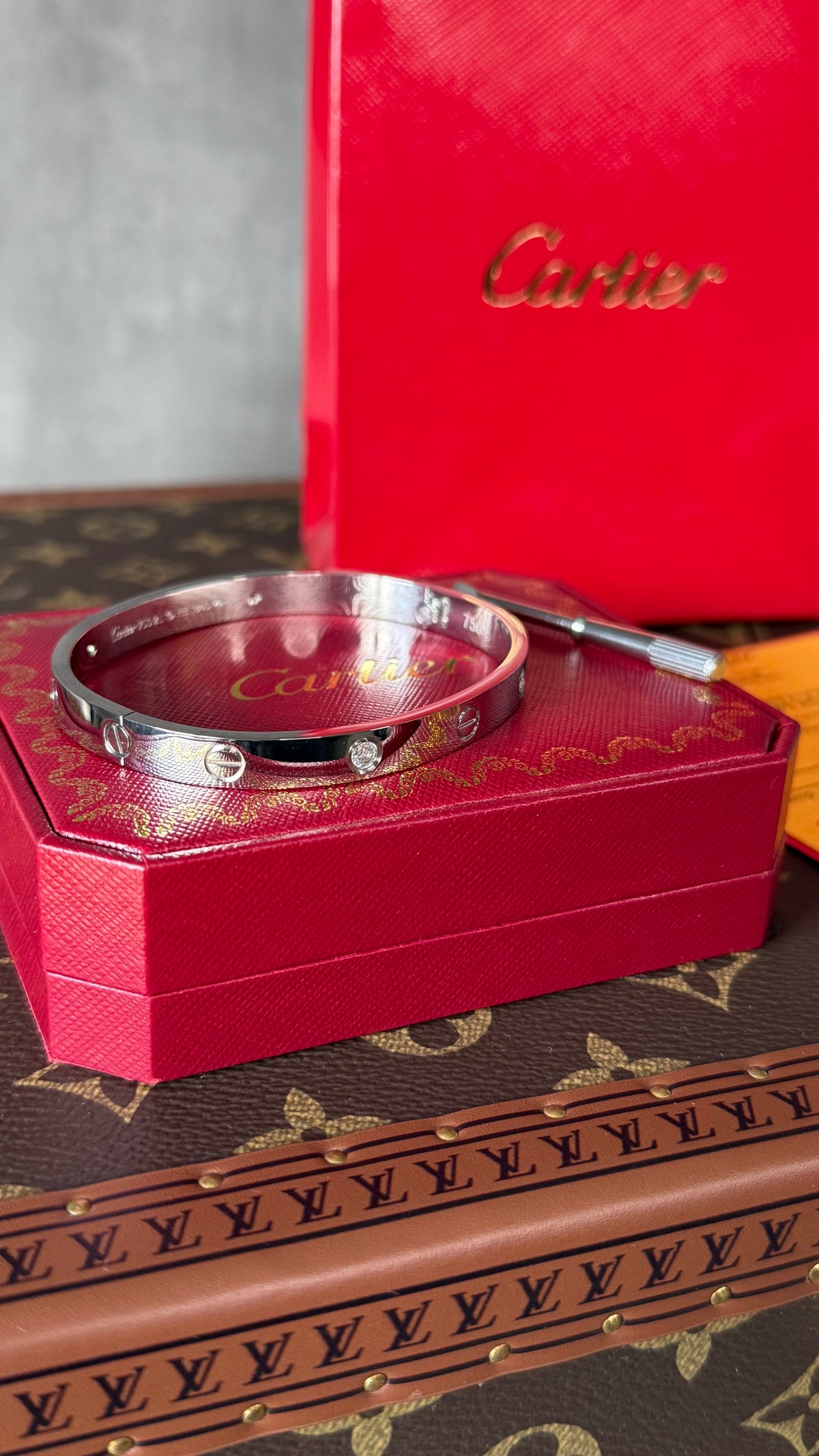 PULSERA CRTR PLATA/DIAMANTE i