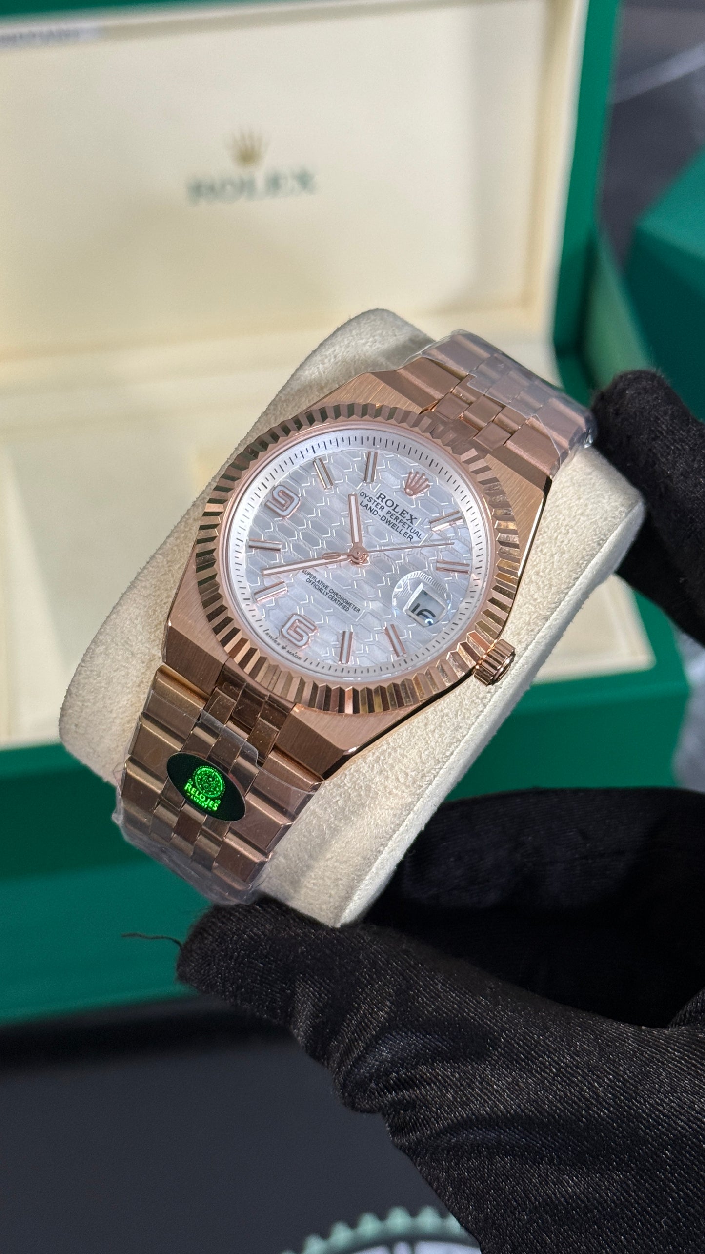 RLX LAND-DWELLER (ORO ROSA/BLANCO)