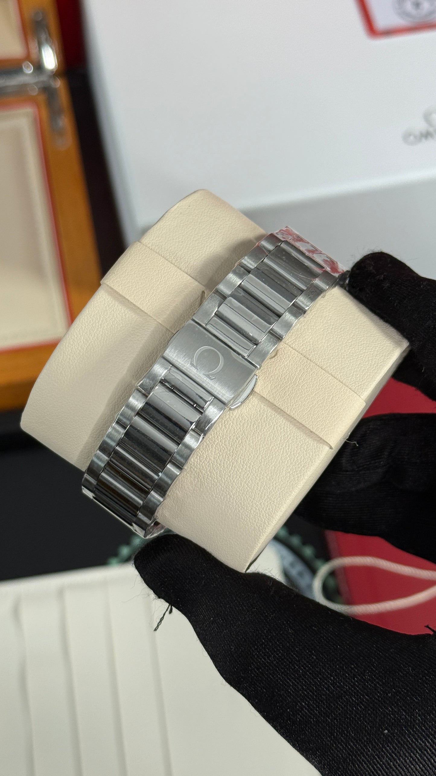 OMG AQUA TERRA (PLATA/BLANCO)