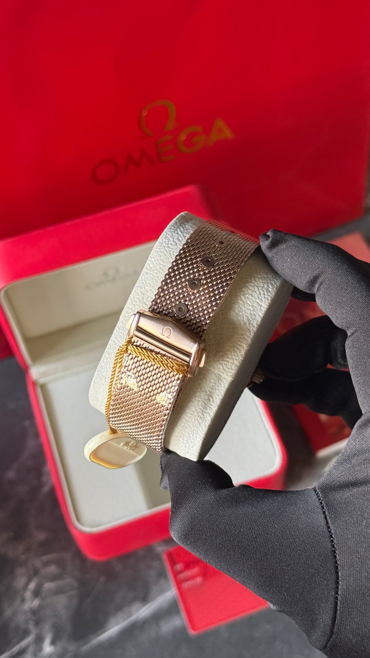 OMG SEAMASTER ORO ROSA/ ROJO/NEGRO