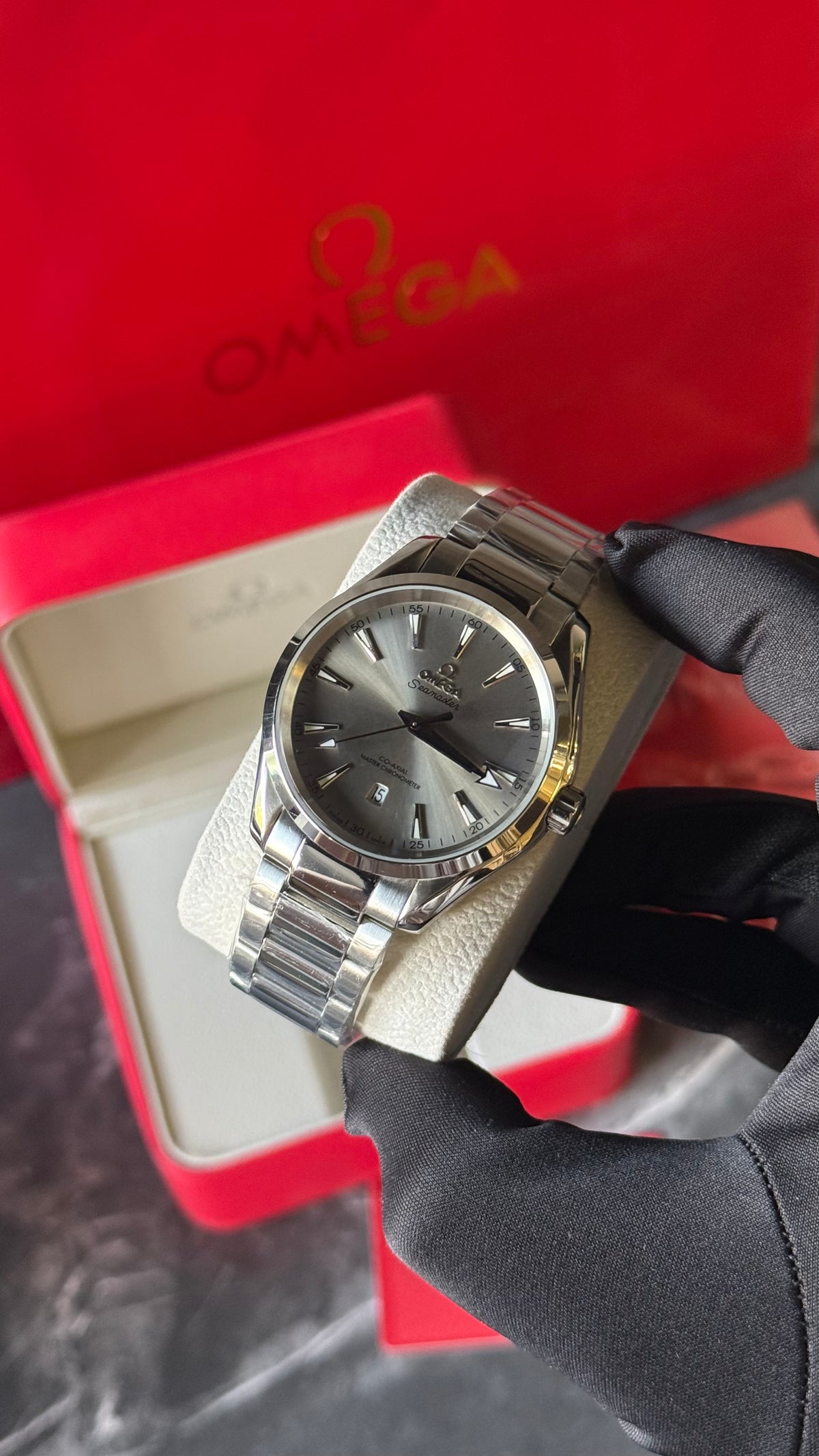 OMG AQUATERRA (FULL PLATA) 41mm