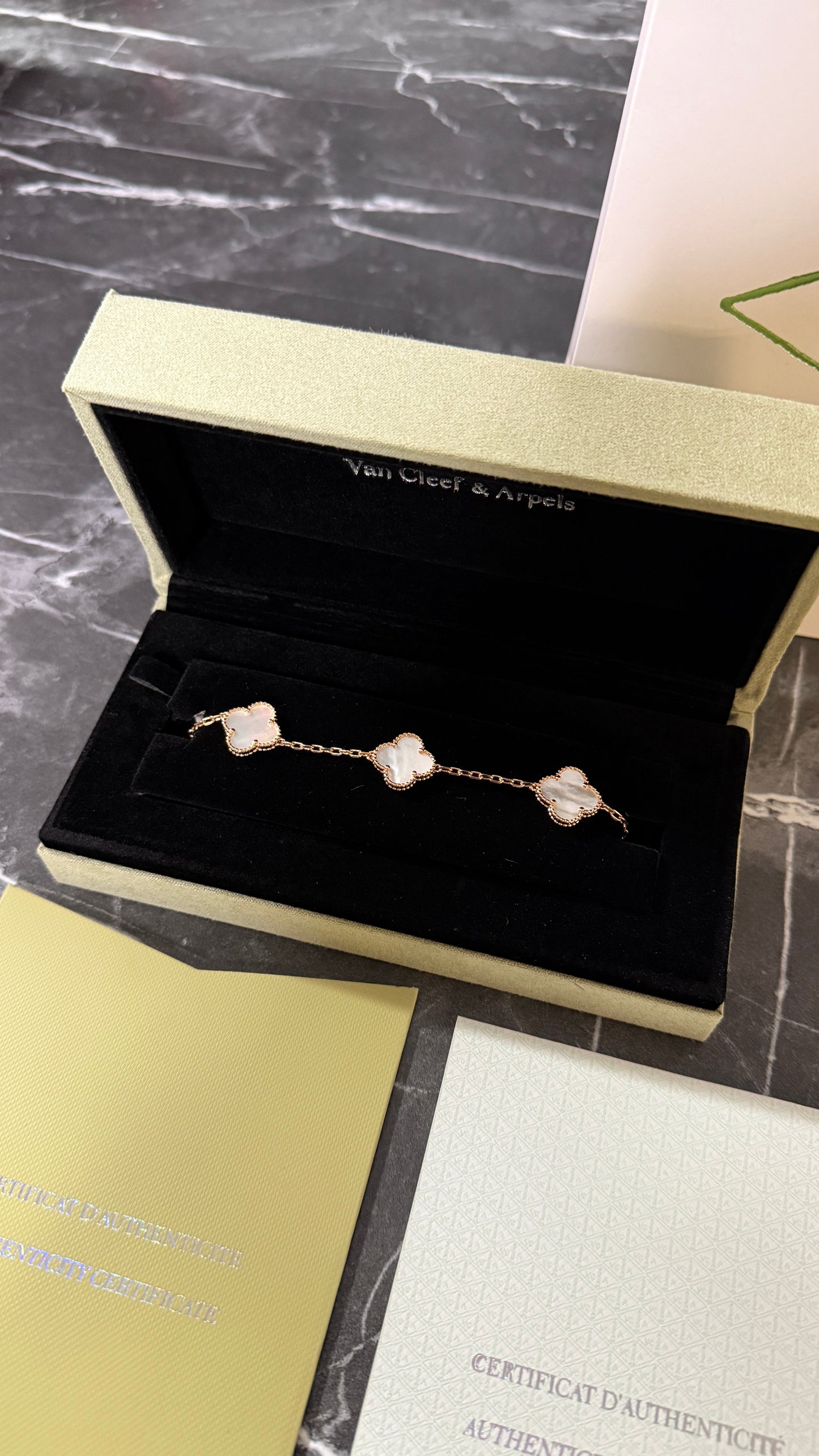 VNC ORO ROSA BLANCA CON CAJA